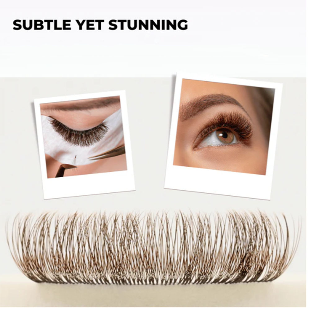 3D 6D 8D Bruin Gekleurd 1000 F - Eyelash Extension Hybrid recensie en prijs